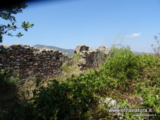 n Michele Forza Agro-13-08-2020 14
